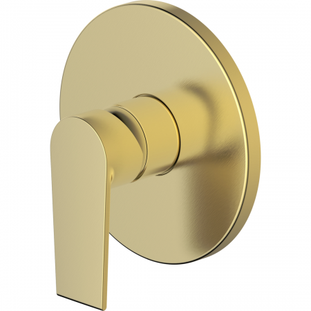 Vitruvius Rubicon Single lever concealed shower mixer with concealed box Brushed Gold